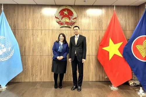 UNICEF tiếp tục đồng hành, hỗ trợ Việt Nam trong chăm sóc và bảo vệ trẻ em