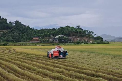 Một chủ tịch xã ở Đắk Lắk bị phê bình do để 'khủng hoảng thông tin' trên mạng