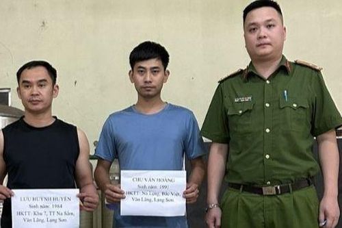 Khởi tố hai đối tượng vận chuyển, buôn bán hàng trăm con vẹt quý hiếm