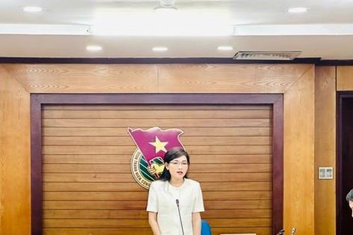Hội Sinh viên Việt Nam xây dựng đề án chuyển đổi số phương châm 'đúng, đủ, sạch, sống'