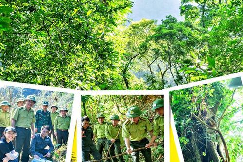Chuyện ít ai biết về 'thế giới sống động diệu kỳ' trên dãy Trường Sơn