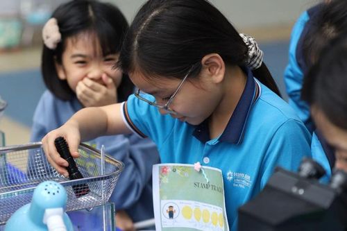 Chương trình giảng dạy mới, Hệ Kiến tạo tại Trường Quốc tế Him Lam Bắc Ninh