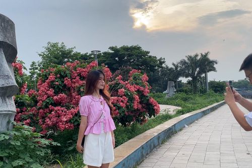 Công viên 'độc nhất Đông Nam Á' thu hút giới trẻ đến check-in