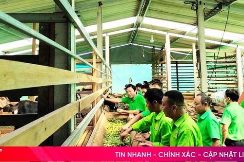 'Sân chơi' giúp nông dân Hương Khê nhân rộng các mô hình kinh tế