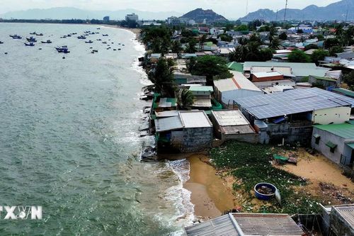 Sóng biển xâm thực mạnh uy hiếp khu dân cư ven biển ở Ninh Thuận