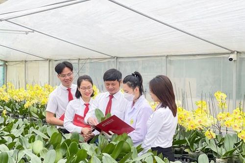 Trợ lực vốn cho xuất khẩu nông, lâm, thủy sản tăng mạnh