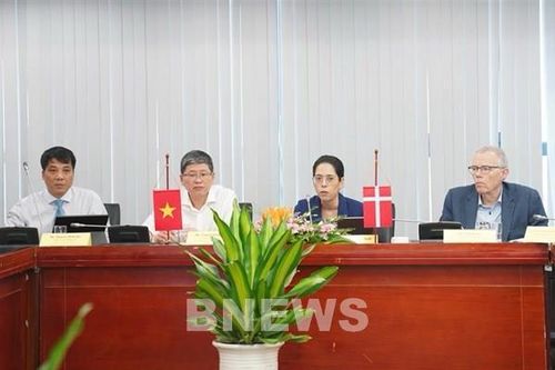 Thí điểm phát triển điện gió ngoài khơi để tạo chính sách phù hợp