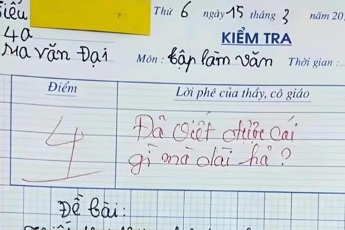 Viết thư hỏi thăm ông bà, cậu bé tiểu học được cô chấm 4 điểm còn kèm lời phê hài hước