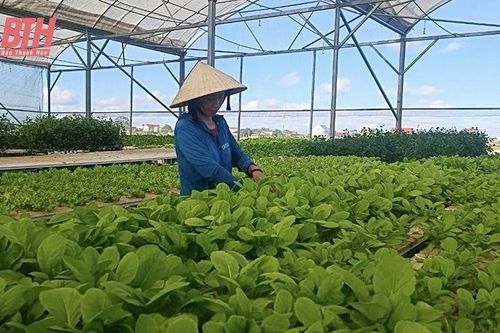 Phú Lộc đẩy mạnh chuyển đổi số