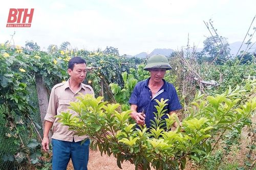 Cẩm Thủy nâng cao hiệu quả công tác tuyên truyền miệng trong vùng đồng bào dân tộc thiểu số