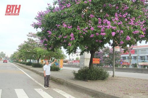 Sức lan tỏa từ phong trào 'Cựu chiến binh gương mẫu' ở Quảng Xương