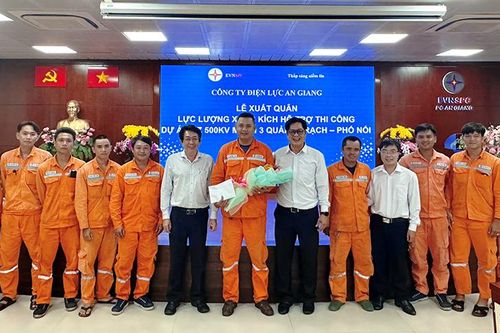 Công ty Điện lực An Giang hỗ trợ thi công đưa điện ra miền Bắc