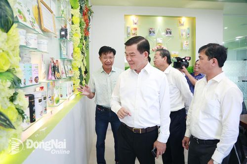Kỷ niệm 5 năm Ngày thành lập thành phố Long Khánh (1-6-2019 - 1-6-2024): Nỗ lực xây dựng thành phố xanh - văn minh - an toàn - hiện đại