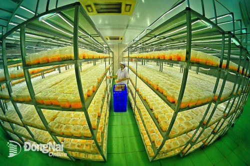 Kỷ niệm 5 năm Ngày thành lập thành phố Long Khánh (1-6-2019 - 1-6-2024): Bước chuyển mình mạnh mẽ 5 năm
