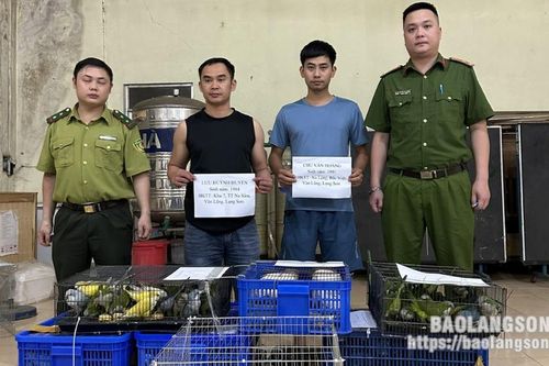 Văn Lãng: Khởi tố 2 đối tượng vi phạm quy định về bảo vệ động vật nguy cấp, quý hiếm