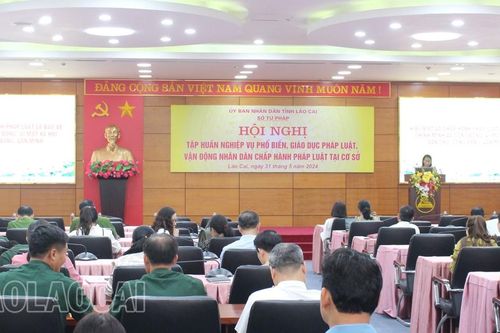 260 báo cáo viên tham dự tập huấn nghiệp vụ phổ biến, giáo dục pháp luật