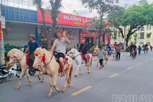 Festival Cao nguyên trắng Bắc Hà sẵn sàng khai hội