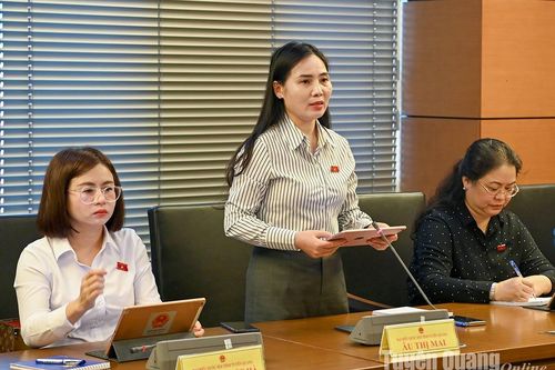 Đoàn ĐBQH tỉnh thảo luận về cơ chế, chính sách đặc thù phát triển tỉnh Nghệ An và thành phố Đà Nẵng