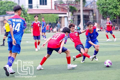 Khoảnh khắc ấn tượng tại Hội khỏe Phù Đổng toàn quốc khu vực 2