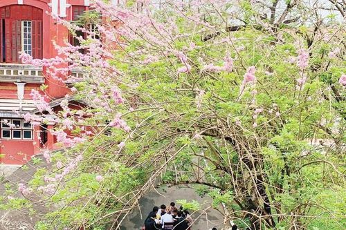 Tuổi học trò ơi...