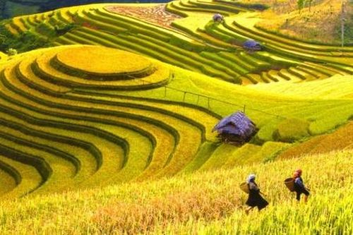 Cần gì để HTX không bị hụt hơi trong phát triển du lịch nông nghiệp?