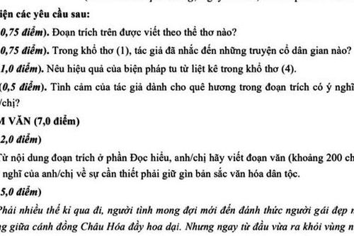 Đề thi Ngữ văn: Sự cần thiết phải giữ gìn bản sắc văn hóa dân tộc