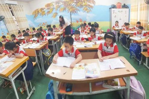 Uông Bí dồn lực đào tạo nguồn nhân lực chất lượng cao, ươm mầm tài năng trẻ