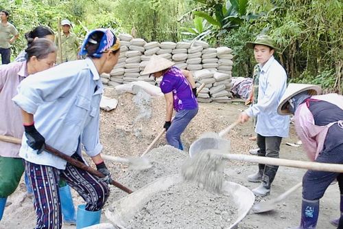 Sức bật từ phong trào sản xuất, kinh doanh giỏi