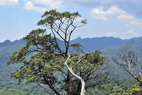 Quảng Bình kêu gọi đầu tư 9 điểm và 11 tuyến du lịch mới ở Phong Nha-Kẻ Bàng