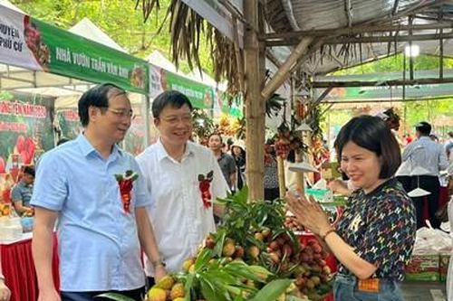 Khai mạc Phiên chợ Vải Hưng Yên năm 2024