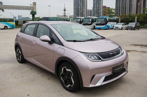 Dolphin - 'xe cá heo' rẻ nhất của BYD, khoảng 700 triệu tại Việt Nam