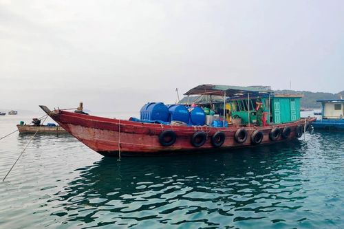 Tăng cường thực thi pháp luật trên vùng biển Đông Bắc