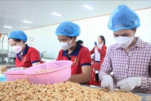 Doanh nghiệp ngành điều 'đứng ngồi không yên' vì đối tác bẻ kèo