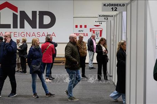 Iceland tiến hành bầu cử tổng thống