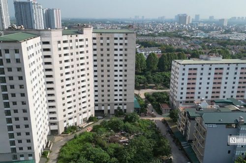 Dự án tái định cư hơn 700 tỷ đồng biến thành nơi trồng rau, nuôi vịt