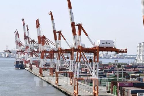 Doanh nghiệp Nhật Bản mắc kẹt giữa hai cường quốc