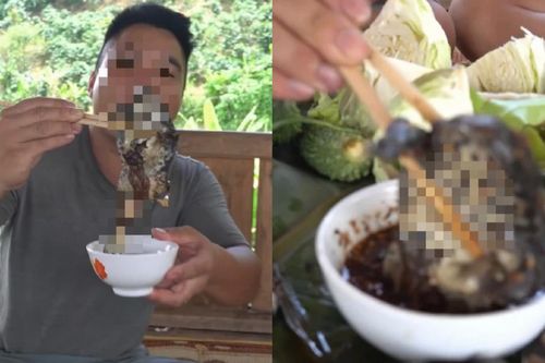 Mukbang ếch hấp nguyên con không bỏ ruột, thanh niên khiến dân mạng ngán ngẩm