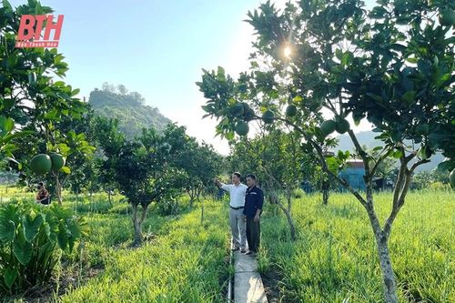 Chuyển mình cùng nông thôn mới kiểu mẫu