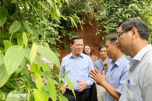 Xây dựng vùng nông thôn đáng sống