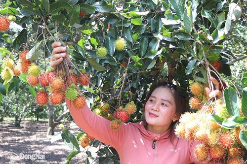 Vùng đầu tàu kinh tế vào mùa lễ hội
