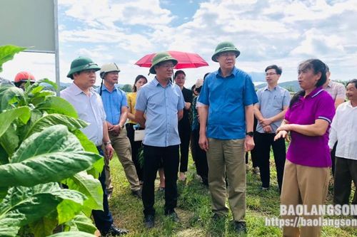 Tổng kết mô hình 'Dự án liên kết sản xuất trồng cây thuốc lá gắn với tiêu thụ sản phẩm tại các xã trên địa bàn huyện Lộc Bình'