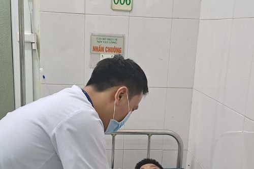 Mẫu nấm gây ngộ độc tại huyện Văn Bàn dương tính với độc tố Psilocin