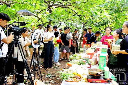 Phát triển nông, lâm nghiệp: Hướng đi nào cho Võ Nhai?