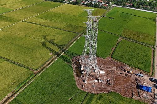 Những màu xanh trên công trường đường dây truyền tải điện 500kV Mạch 3