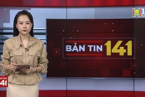 Bản tin 141 | 01/06/2024