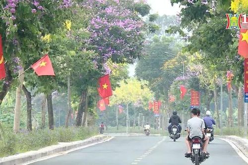 Con đường mới thay đổi diện mạo Cổ Loa