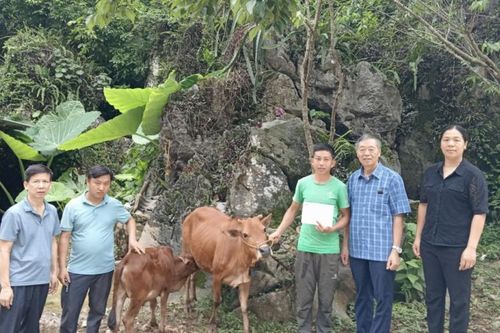 Trao sinh kế cho gia đình người khuyết tật tại Quảng Hòa, Hòa An
