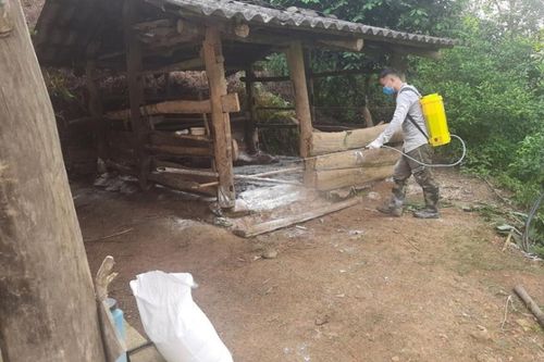 Thạch An cấp 448 lít thuốc khử trùng, tiêu độc chuồng trại chăn nuôi tại các xã, thị trấn