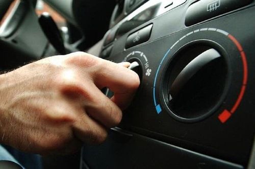 Cách đuổi côn trùng ra khỏi xe khi đang lái