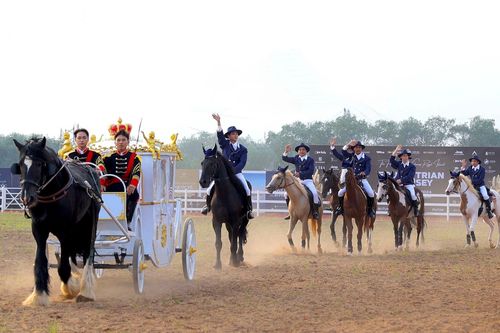 Chiêm ngưỡng dàn ngựa quý hiếm trình làng ở Vinpearl Horse Academy